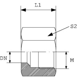 Nakrętka V4A M30x2 22L