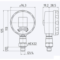 Manometr cyfrowy 700 bar