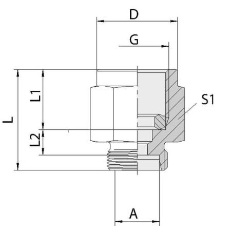 Przyłącze manometru M12x1.5 6L R1/4 BSP