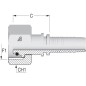 Końcówka DN06-M20x1,5-12S