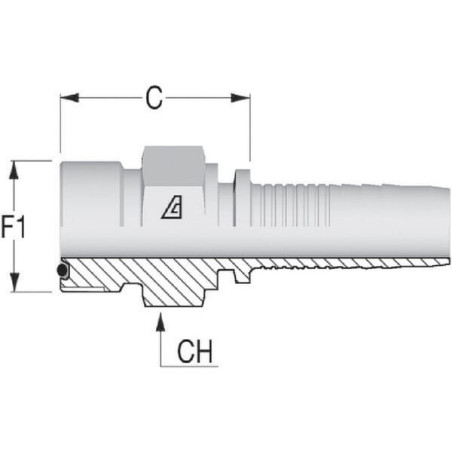 "Końcówka DN16-1"" ORFS"