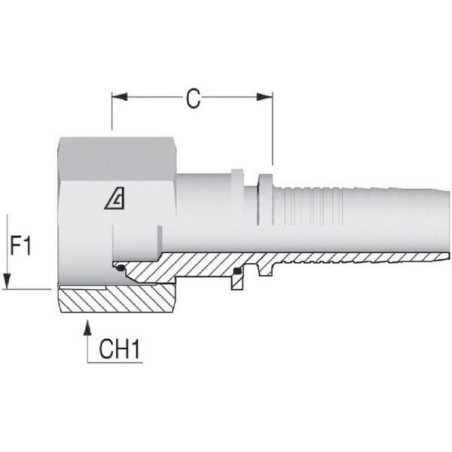 Końcówka DN05-1/4 BSP