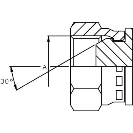 "Zaślepka gwintowana BSP 1/4"""