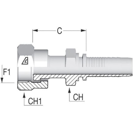 "Końcówka DN25-1""11/16 ORFS"