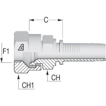"Końcówka DN25-1"" BSP"