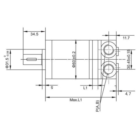 Silnik orbitalny 50cc gopart