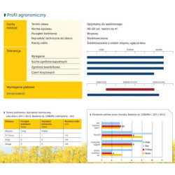 250546- Rzepak ozimy SY Polana F1 1,5mln Syngenta - nasiona