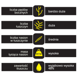 250547 Rzepak ozimy Inspiration F1 1,5mln Rapool DSV - nasiona