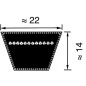 Pas klinowy Optibelt, C65 22x1650