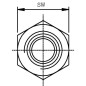 Adapter 1/4 x 1/2 BSP