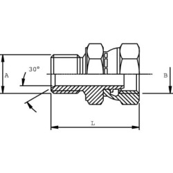 Adapter 1/4 x 1/2 BSP