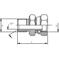 Adapter 1/4 x 1/2 BSP