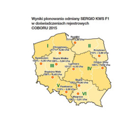 Rzepak ozimy SERGIO F1 KWS 3ha - nasiona rzepaku NOWOŚĆ