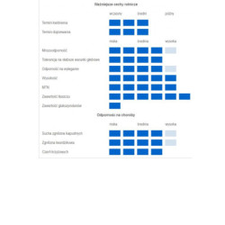 253213- Rzepak ozimy BAZALT 3ha - nasiona rzepaku NOWOŚĆ