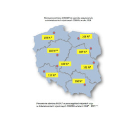 253213- Rzepak ozimy BAZALT 3ha - nasiona rzepaku NOWOŚĆ