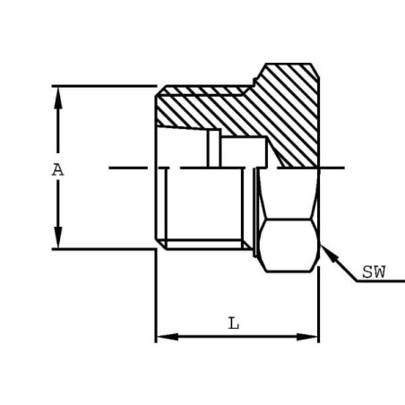 Korek zamykający M52 x 2-42L