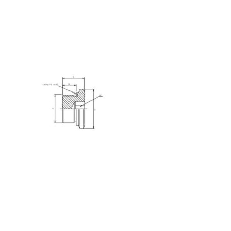 Korek M22x1.5 V4A