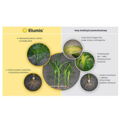 47948- Elumis 105 OD 1l do uprawy kukurydzy na perz właściwy