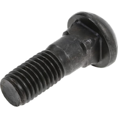 Śruba