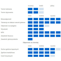 Rzepak ozimy MONOLIT 3ha  - nasiona rzepaku