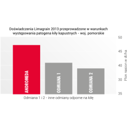 Rzepak ozimy Andromeda F1  1,5 mln -LG nasiona rzepaku NOWOŚĆ