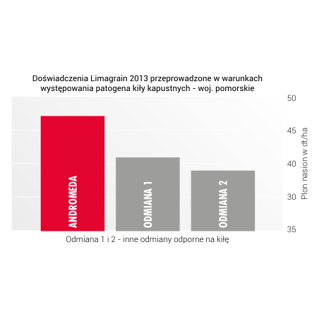 Rzepak ozimy Andromeda F1  1,5 mln -LG nasiona rzepaku NOWOŚĆ