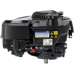 Silnik 123P02H,YY0001 seria 850 OHV I/C B&S