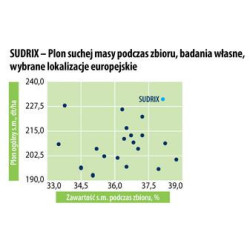 Nasiona Kukurydzy SUDRIX FAO 260