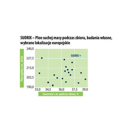 Nasiona Kukurydzy SUDRIX FAO 260