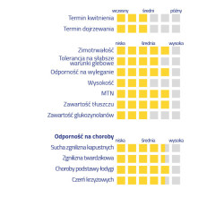 257574- Rzepak ozimy POZNANIAK 3ha - nasiona rzepaku