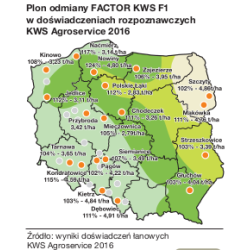 257651- Rzepak ozimy FAKTOR F1 KWS 3ha - nasiona rzepaku NOWOŚĆ