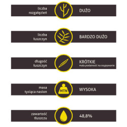 257657- Rzepak ozimy Es Anisse Euralis - nasiona rzepaku