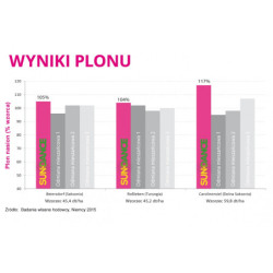 258500 Rzepak ozimy SUNDANCE F1 2 mln IGP- nasiona rzepaku