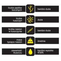 258503- Rzepak ozimy PGT 274 F1 - nasiona rzepaku hybryda