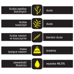 258531 Rzepak ozimy Berny 1.05 mln - nasiona rzepaku