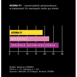 Rzepak ozimy ATORA F1 1,5 mln Rapool NPZ - nasiona rzepaku