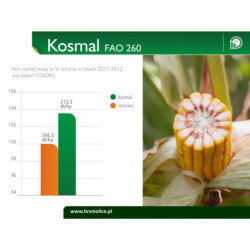 Nasiona kukurydzy KOSMAL FAO 260 SMOLICE