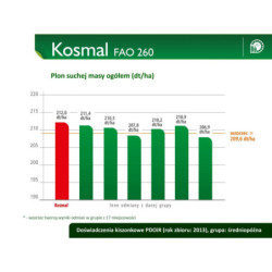 ID-258723 Nasiona kukurydzy KOSMAL FAO 260 SMOLICE