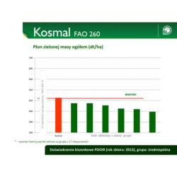 ID-258723 Nasiona kukurydzy KOSMAL FAO 260 SMOLICE