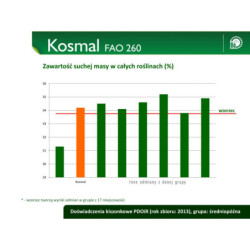 ID-258723 Nasiona kukurydzy KOSMAL FAO 260 SMOLICE