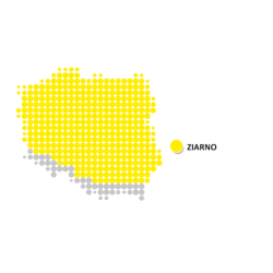 Nasiona kukurydzy LG 31.256 (FAO 250) Limagrain