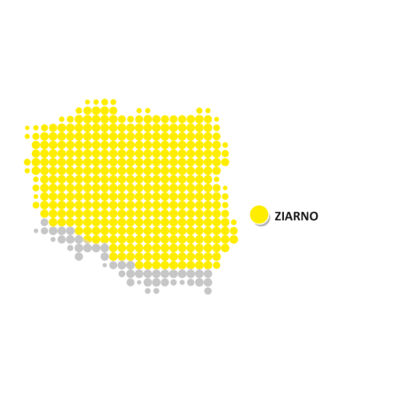 Nasiona kukurydzy LG 31.256 (FAO 250) Limagrain