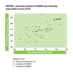 258751 NASIONA KUKURYDZY NEUTRINO FAO 240-250