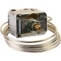 Regulator temperatury