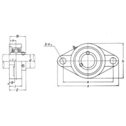 Łożysko z obudową 2-otworowe, kompletne