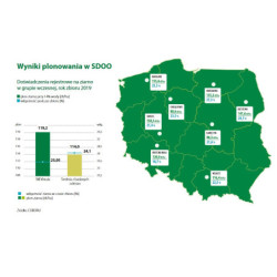 Nasiona kukurydzy Vistula FAO 210-220 Smolice