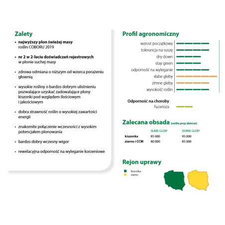 Nasiona kukurydzy Grot FAO 220 Smolice