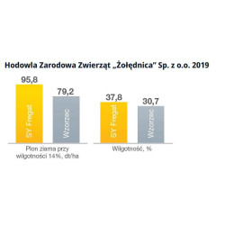 Nasiona kukurydzy Fregat FAO 260 Syngenta