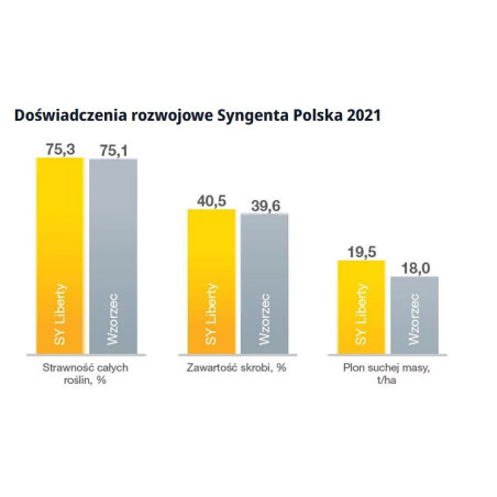 Nasiona kukurydzy Liberty FAO 230 Syngenta