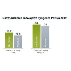 Nasiona kukurydzy Fermin FAO 230 Syngenta